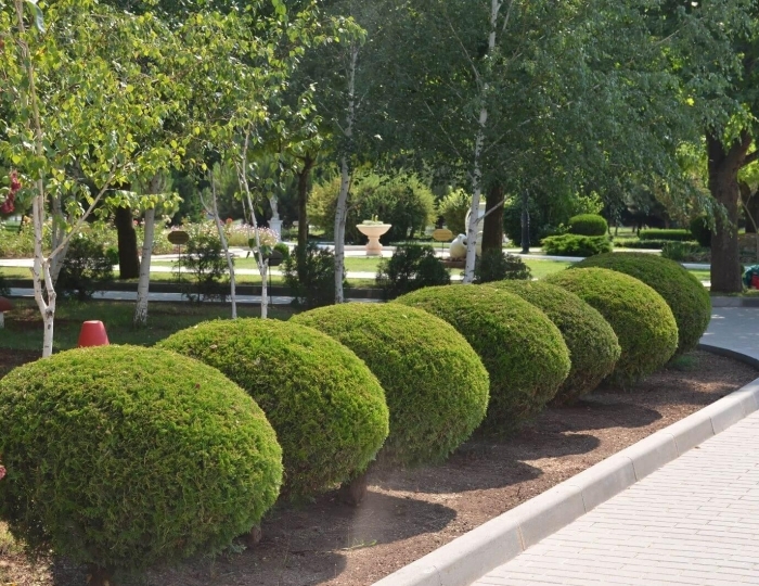 Санаторий «Сакрополь» Саки